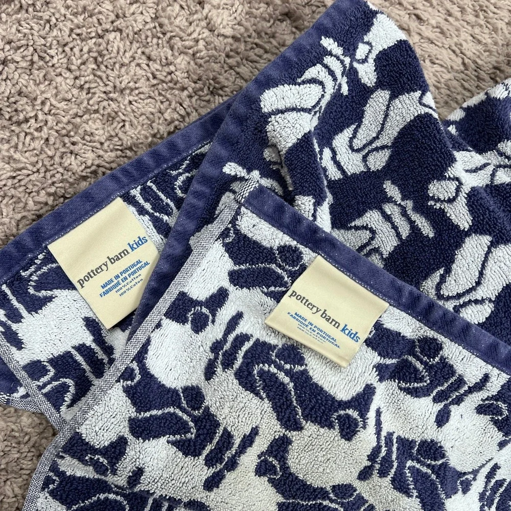 Pottery Barn Kids Airplane Print Bath Towel &‎ Washcloth Lot